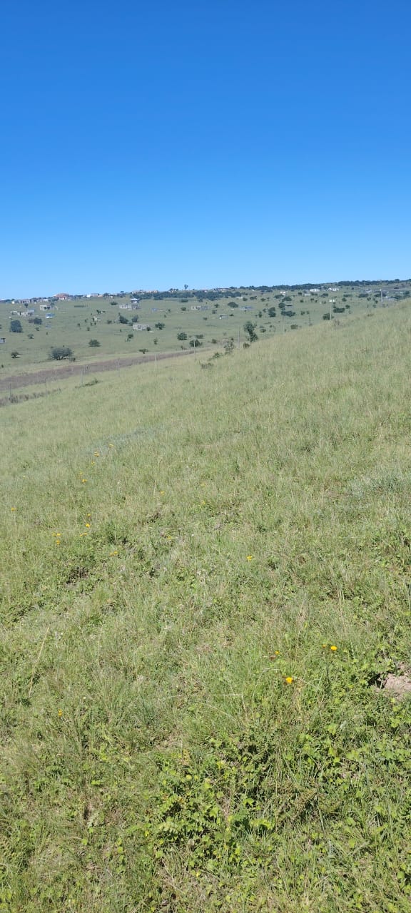  Bedroom Property for Sale in Macleantown Eastern Cape